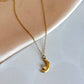 Steel Stone Crescent Necklace