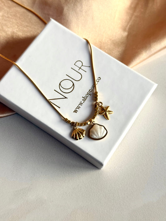 Çelik Deniz Kabuğu Yıldız Kolye