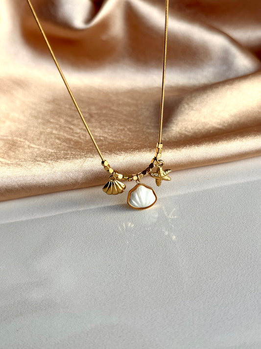 Çelik Deniz Kabuğu Yıldız Kolye