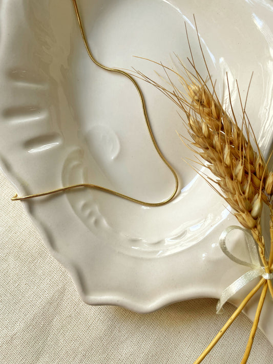 Zarif yılan zinciri ile tarzınızı yansıtın