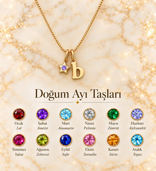 925 Gümüş | Mini Yıldız Doğum Ayı Harf Kolye